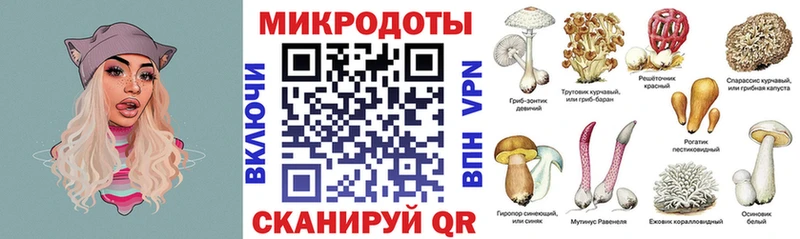 Псилоцибиновые грибы прущие грибы  Приволжский 